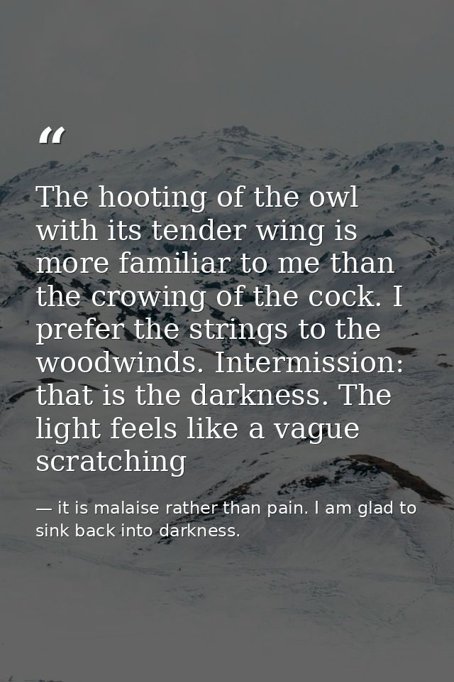 The hooting of the owl with its tender wing is more familiar to me than the crowing of the cock. I prefer the strings to — it is malaise rather than pain. I am glad to sink back into darkness.