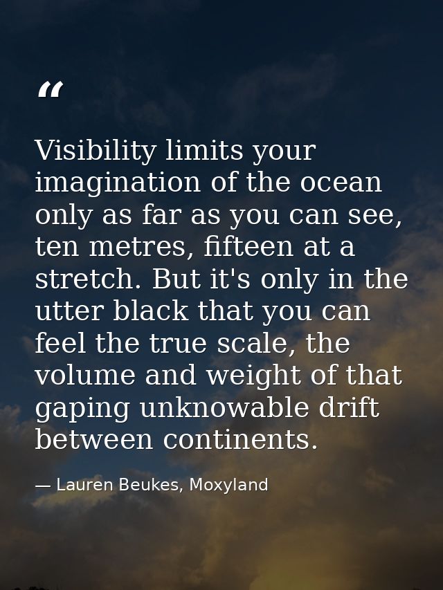 Visibility limits your imagination of the ocean only as far as you can see, ten metres, fifteen at a stretch. But it's o — Lauren Beukes, Moxyland