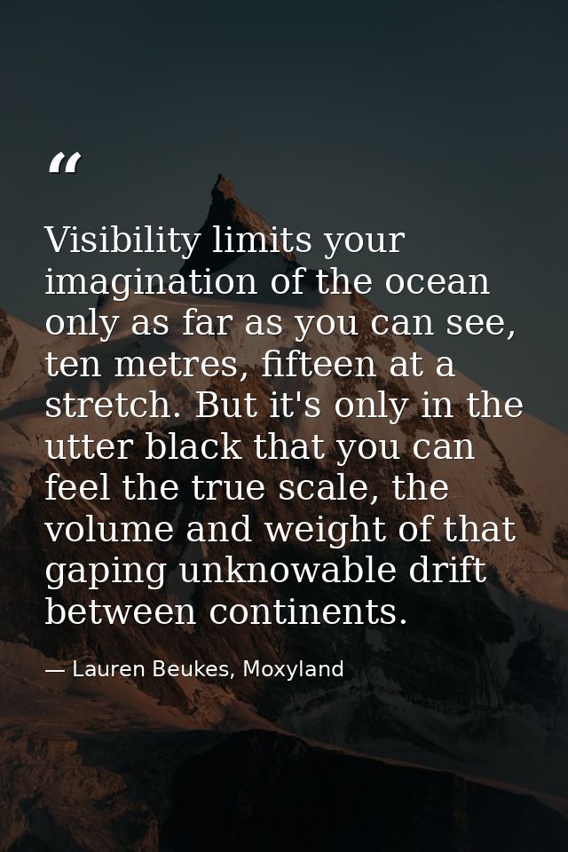Visibility limits your imagination of the ocean only as far as you can see, ten metres, fifteen at a stretch. But it's o — Lauren Beukes, Moxyland