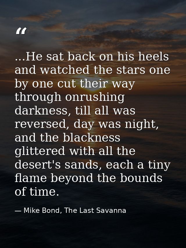 ...He sat back on his heels and watched the stars one by one cut their way through onrushing darkness, till all was reve — Mike Bond, The Last Savanna
