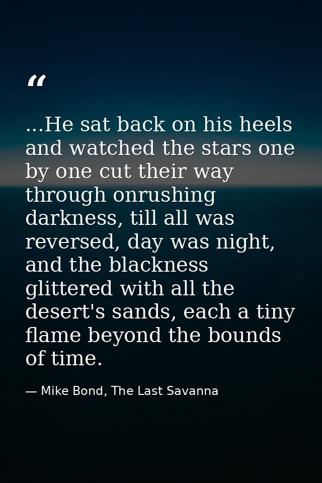 ...He sat back on his heels and watched the stars one by one cut their way through onrushing darkness, till all was reve — Mike Bond, The Last Savanna