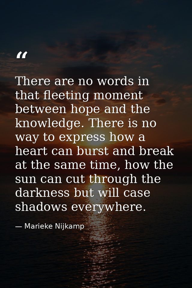 There are no words in that fleeting moment between hope and the knowledge. There is no way to express how a heart can bu — Marieke Nijkamp