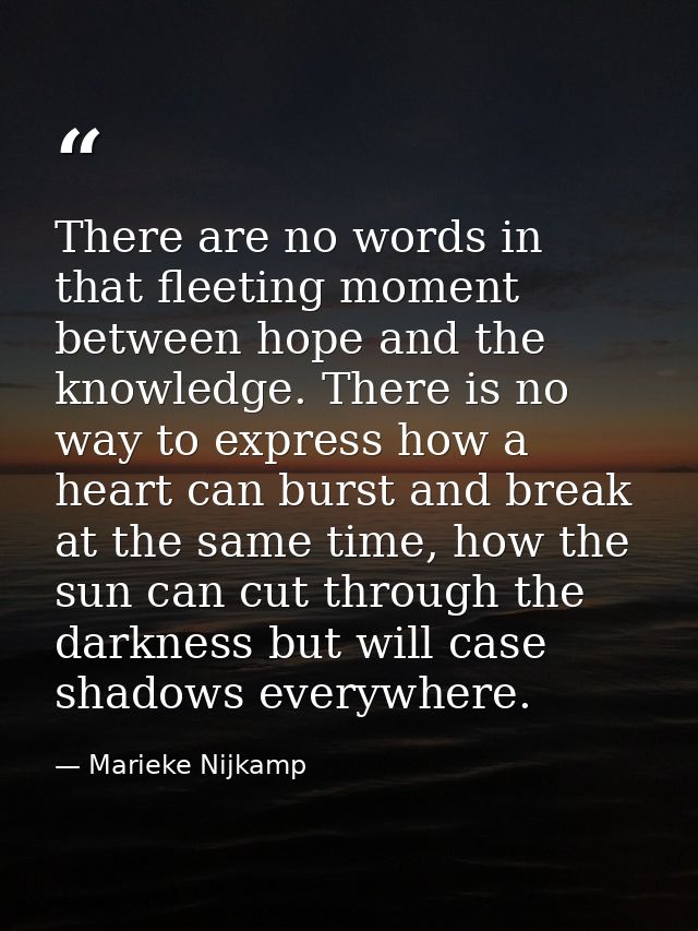 There are no words in that fleeting moment between hope and the knowledge. There is no way to express how a heart can bu — Marieke Nijkamp