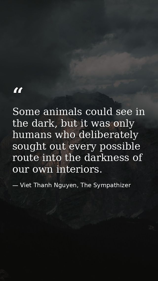 Some animals could see in the dark, but it was only humans who deliberately sought out every possible route into the dar — Viet Thanh Nguyen, The Sympathizer