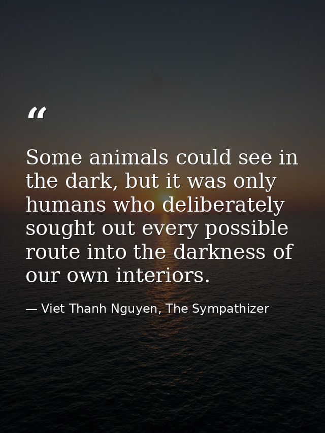 Some animals could see in the dark, but it was only humans who deliberately sought out every possible route into the dar — Viet Thanh Nguyen, The Sympathizer