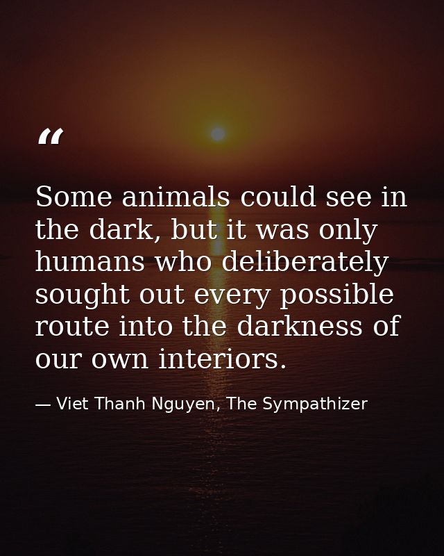 Some animals could see in the dark, but it was only humans who deliberately sought out every possible route into the dar — Viet Thanh Nguyen, The Sympathizer