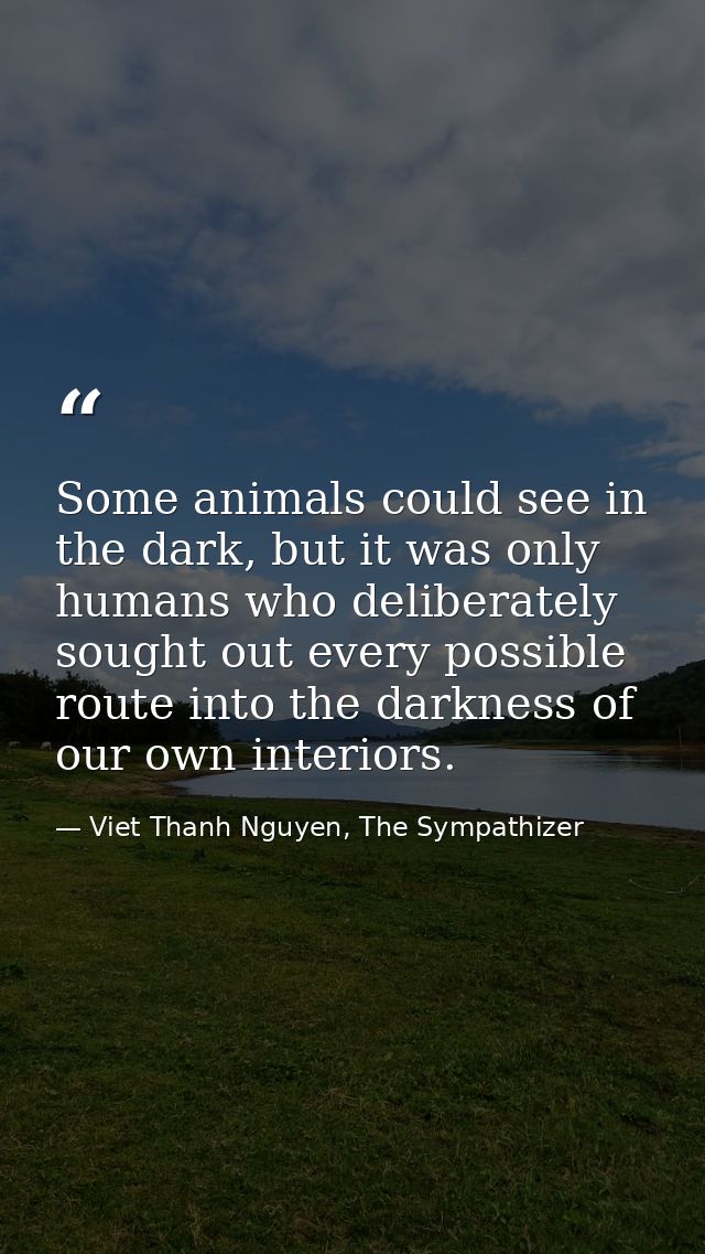 Some animals could see in the dark, but it was only humans who deliberately sought out every possible route into the dar — Viet Thanh Nguyen, The Sympathizer