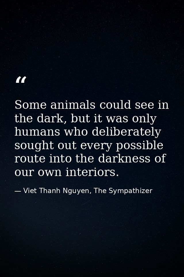 Some animals could see in the dark, but it was only humans who deliberately sought out every possible route into the dar — Viet Thanh Nguyen, The Sympathizer