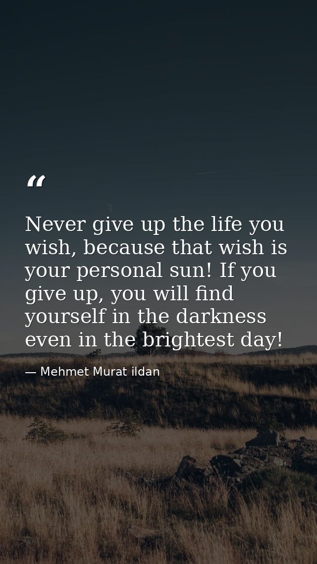 Never give up the life you wish, because that wish is your personal sun! If you give up, you will find yourself in the d — Mehmet Murat ildan
