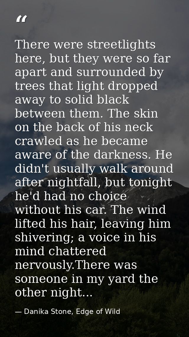 There were streetlights here, but they were so far apart and surrounded by trees that light dropped away to solid black  — Danika Stone, Edge of Wild