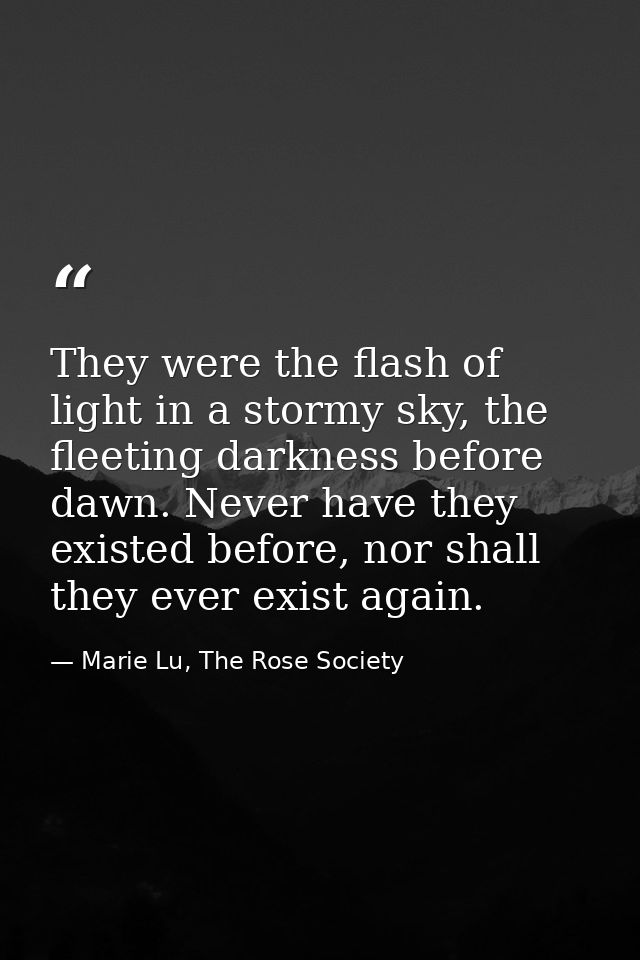 They were the flash of light in a stormy sky, the fleeting darkness before dawn. Never have they existed before, nor sha — Marie Lu, The Rose Society