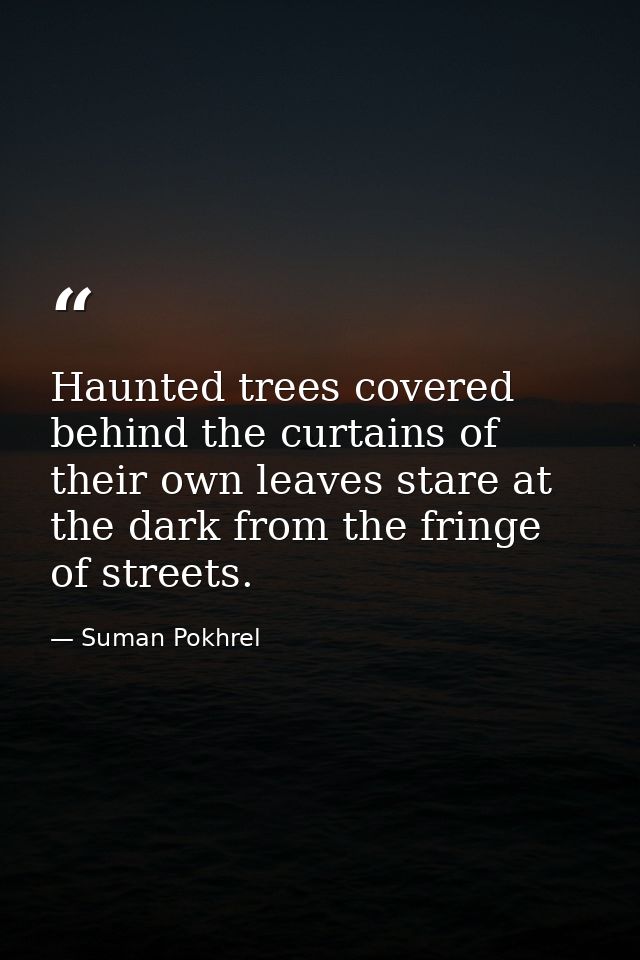 Haunted trees covered behind the curtains of their own leaves stare at the dark from the fringe of streets. — Suman Pokhrel