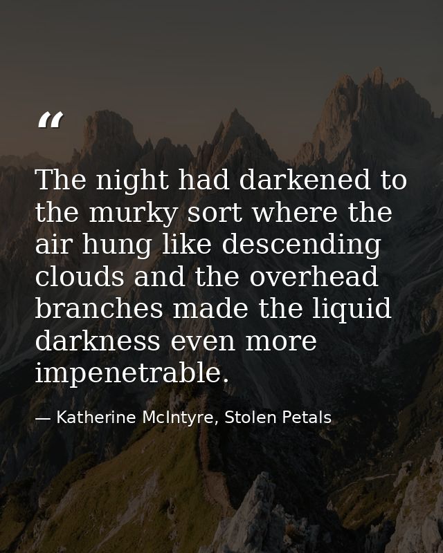 The night had darkened to the murky sort where the air hung like descending clouds and the overhead branches made the li — Katherine McIntyre, Stolen Petals