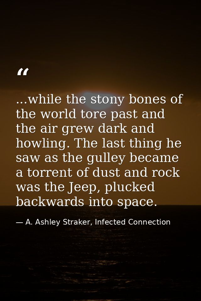 ...while the stony bones of the world tore past and the air grew dark and howling. The last thing he saw as the gulley b — A. Ashley Straker, Infected Connection