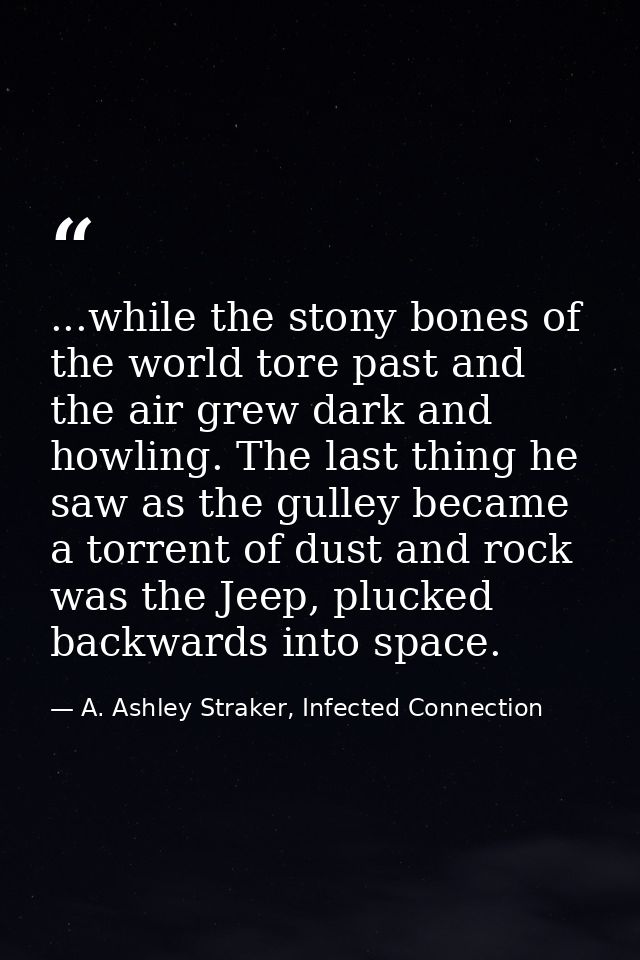 ...while the stony bones of the world tore past and the air grew dark and howling. The last thing he saw as the gulley b — A. Ashley Straker, Infected Connection