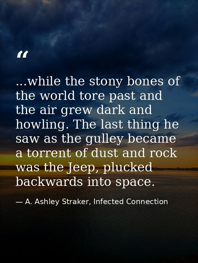 ...while the stony bones of the world tore past and the air grew dark and howling. The last thing he saw as the gulley b — A. Ashley Straker, Infected Connection