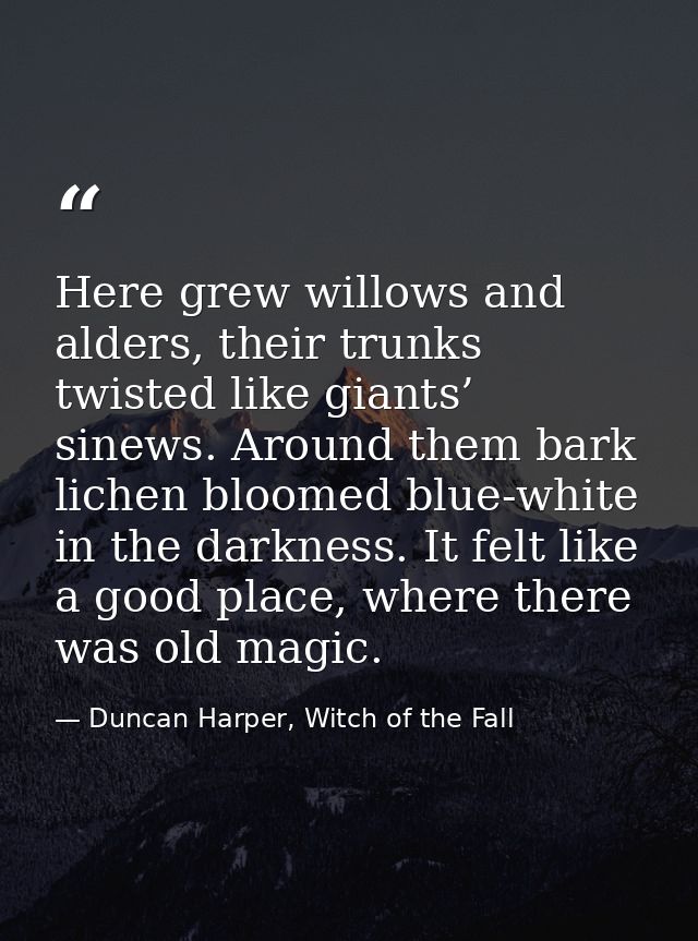 Here grew willows and alders, their trunks twisted like giants’ sinews. Around them bark lichen bloomed blue-white in th — Duncan Harper, Witch of the Fall