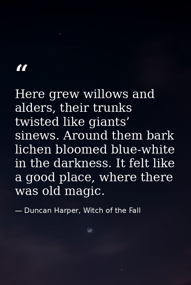 Here grew willows and alders, their trunks twisted like giants’ sinews. Around them bark lichen bloomed blue-white in th — Duncan Harper, Witch of the Fall