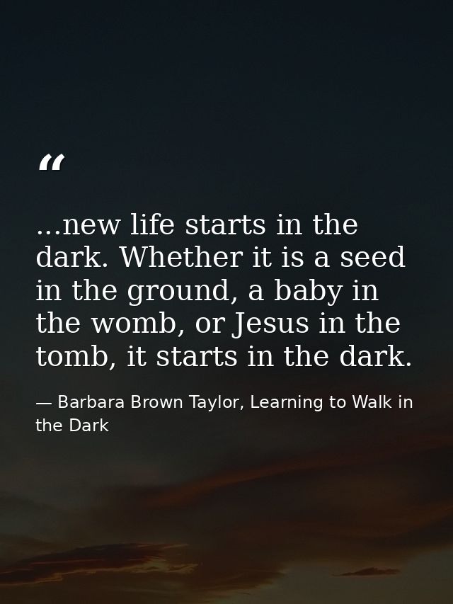 ...new life starts in the dark. Whether it is a seed in the ground, a baby in the womb, or Jesus in the tomb, it starts  — Barbara Brown Taylor, Learning to Walk in the Dark