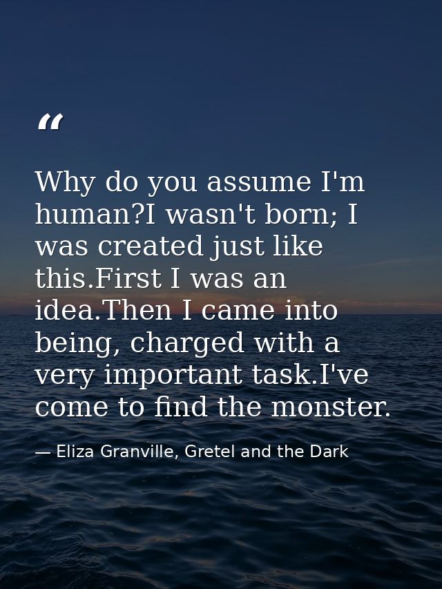 Why do you assume I'm human?I wasn't born; I was created just like this.First I was an idea.Then I came into being, char — Eliza Granville, Gretel and the Dark