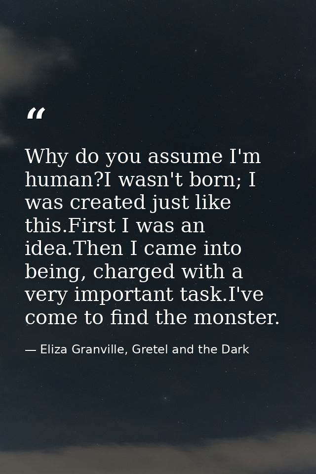 Why do you assume I'm human?I wasn't born; I was created just like this.First I was an idea.Then I came into being, char — Eliza Granville, Gretel and the Dark