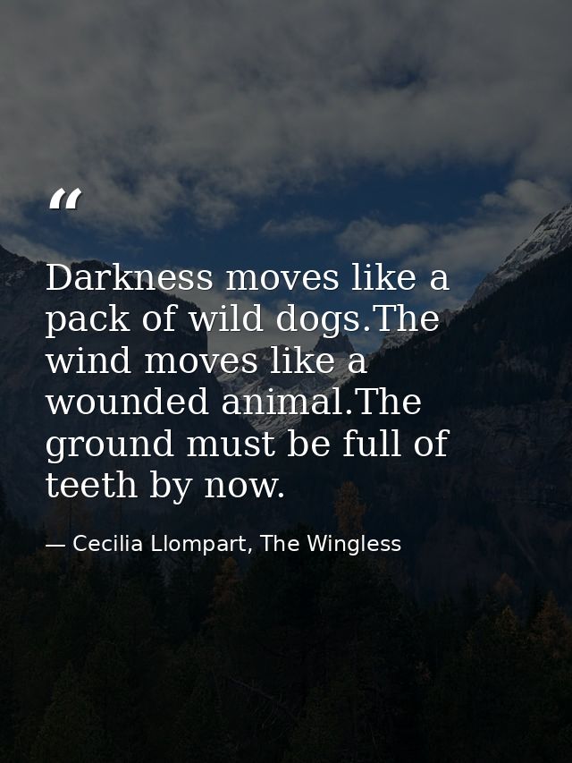 Darkness moves like a pack of wild dogs.The wind moves like a wounded animal.The ground must be full of teeth by now. — Cecilia Llompart, The Wingless