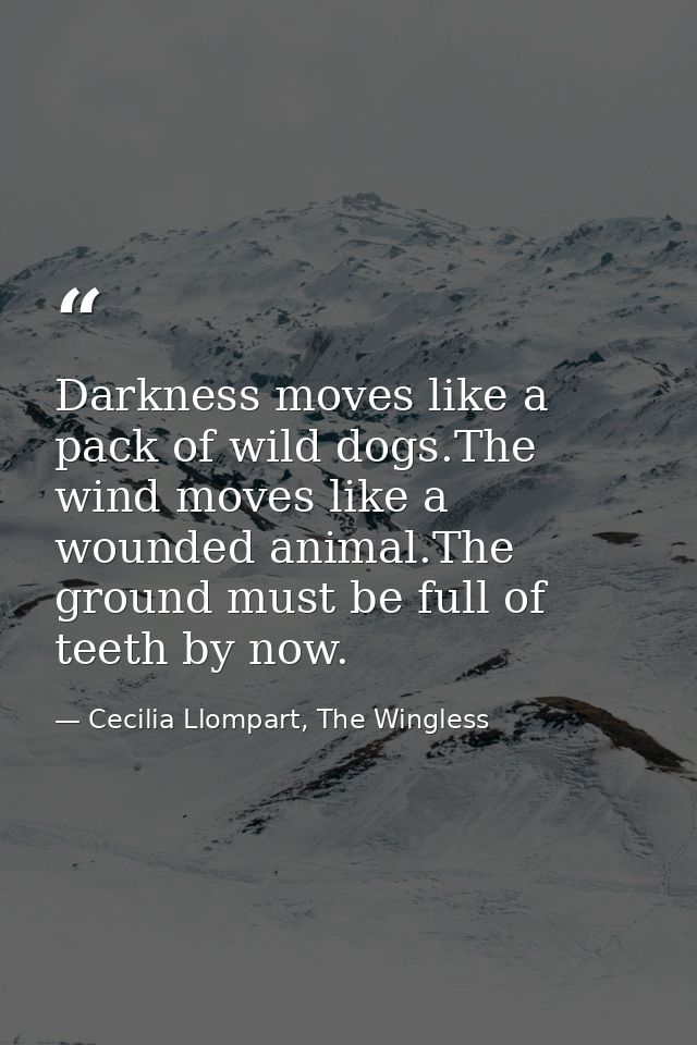 Darkness moves like a pack of wild dogs.The wind moves like a wounded animal.The ground must be full of teeth by now. — Cecilia Llompart, The Wingless