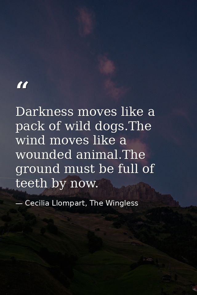 Darkness moves like a pack of wild dogs.The wind moves like a wounded animal.The ground must be full of teeth by now. — Cecilia Llompart, The Wingless
