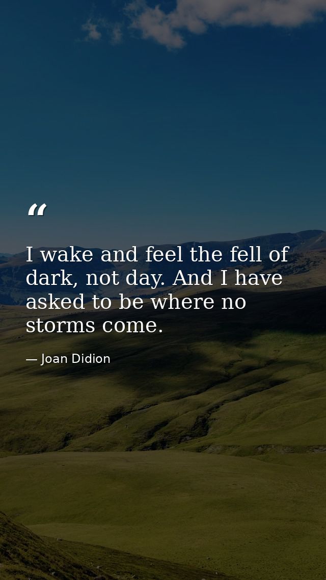 I wake and feel the fell of dark, not day. And I have asked to be where no storms come. — Joan Didion