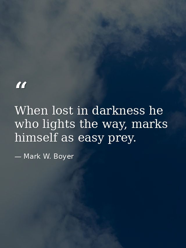 When lost in darkness he who lights the way, marks himself as easy prey. — Mark W. Boyer