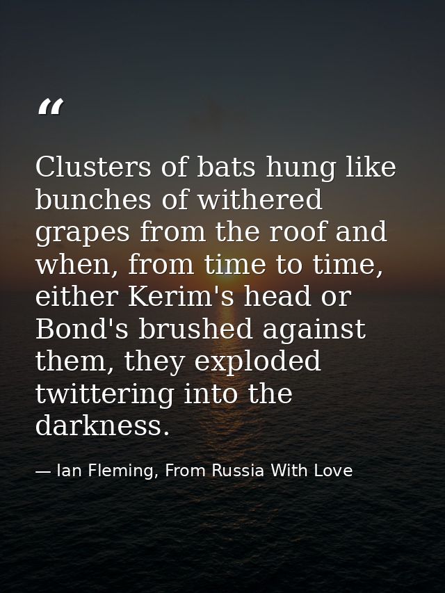 Clusters of bats hung like bunches of withered grapes from the roof and when, from time to time, either Kerim's head or  — Ian Fleming, From Russia With Love