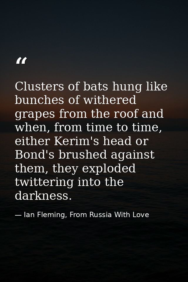 Clusters of bats hung like bunches of withered grapes from the roof and when, from time to time, either Kerim's head or  — Ian Fleming, From Russia With Love