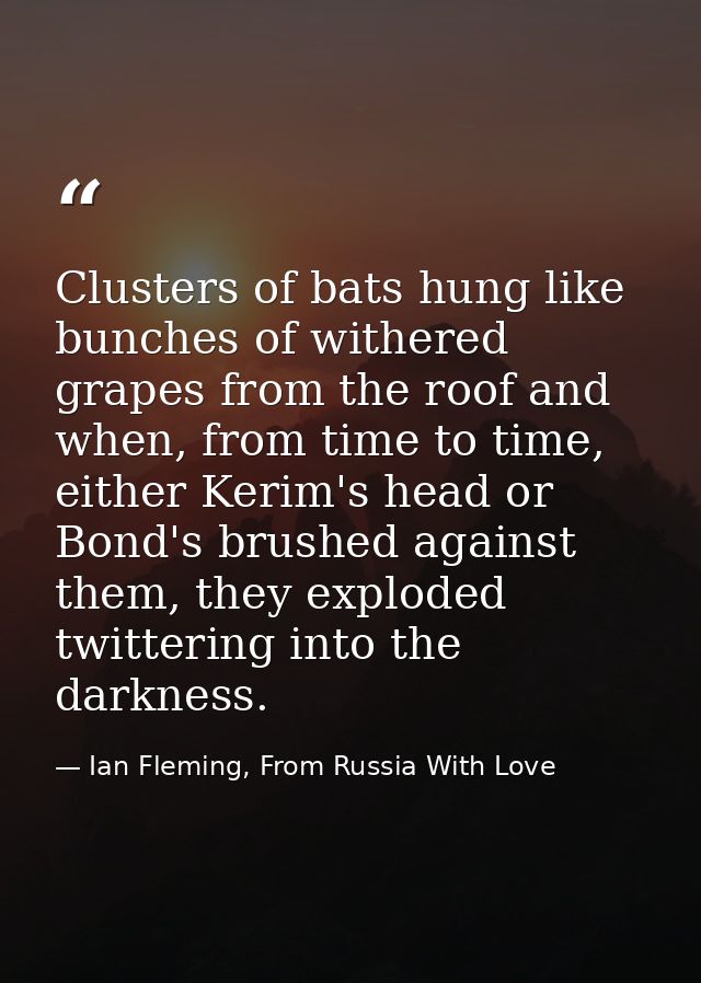 Clusters of bats hung like bunches of withered grapes from the roof and when, from time to time, either Kerim's head or  — Ian Fleming, From Russia With Love