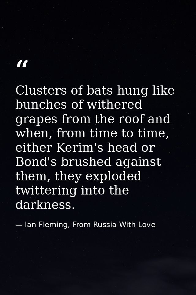Clusters of bats hung like bunches of withered grapes from the roof and when, from time to time, either Kerim's head or  — Ian Fleming, From Russia With Love