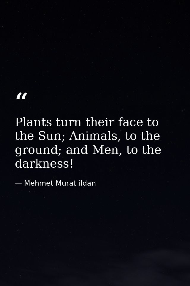 Plants turn their face to the Sun; Animals, to the ground; and Men, to the darkness! — Mehmet Murat ildan
