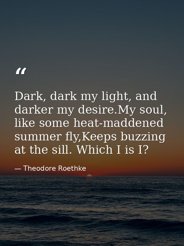 Dark, dark my light, and darker my desire.My soul, like some heat-maddened summer fly,Keeps buzzing at the sill. Which I — Theodore Roethke