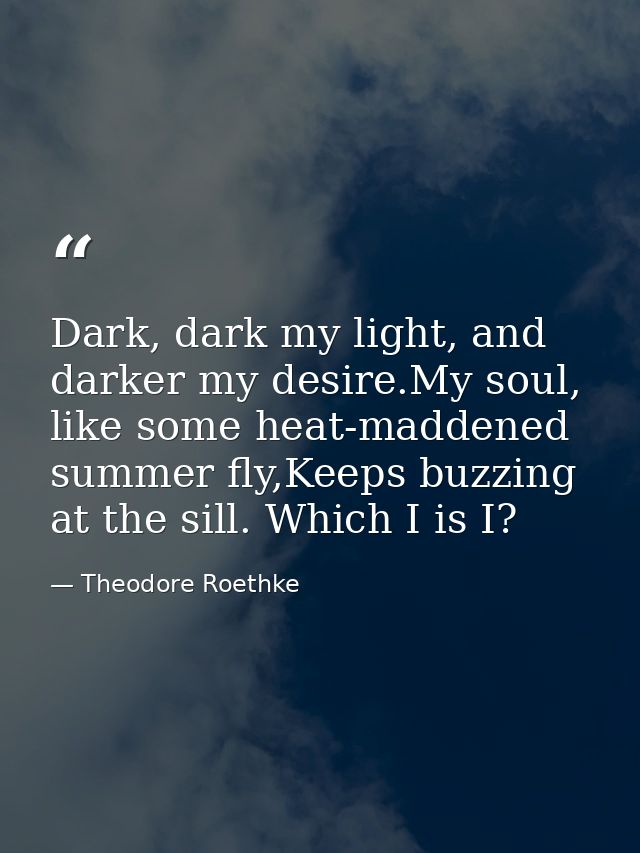 Dark, dark my light, and darker my desire.My soul, like some heat-maddened summer fly,Keeps buzzing at the sill. Which I — Theodore Roethke