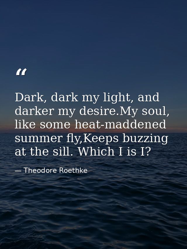 Dark, dark my light, and darker my desire.My soul, like some heat-maddened summer fly,Keeps buzzing at the sill. Which I — Theodore Roethke