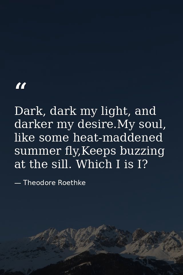 Dark, dark my light, and darker my desire.My soul, like some heat-maddened summer fly,Keeps buzzing at the sill. Which I — Theodore Roethke
