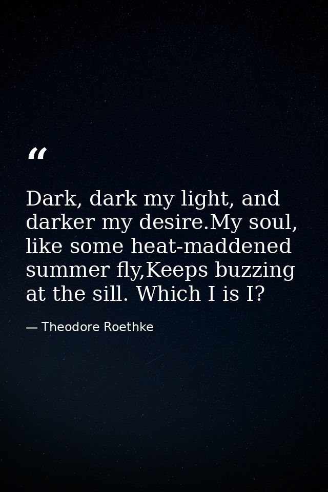 Dark, dark my light, and darker my desire.My soul, like some heat-maddened summer fly,Keeps buzzing at the sill. Which I — Theodore Roethke