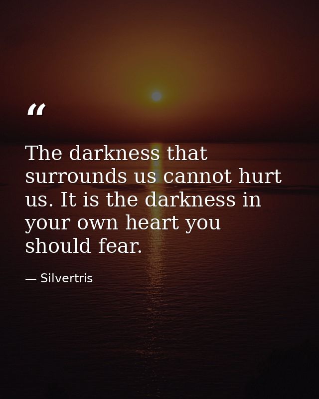 The darkness that surrounds us cannot hurt us. It is the darkness in your own heart you should fear. — Silvertris