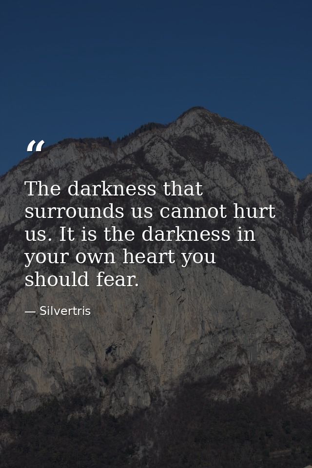 The darkness that surrounds us cannot hurt us. It is the darkness in your own heart you should fear. — Silvertris