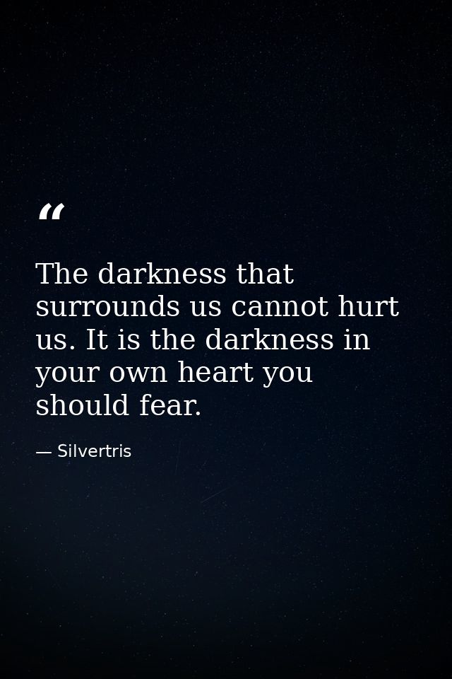 The darkness that surrounds us cannot hurt us. It is the darkness in your own heart you should fear. — Silvertris