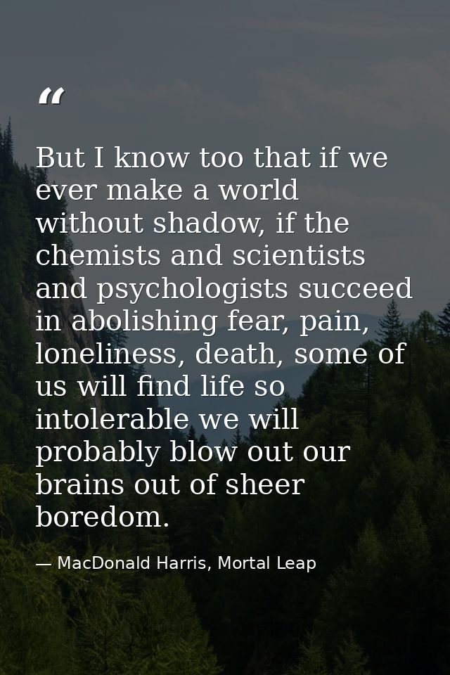 But I know too that if we ever make a world without shadow, if the chemists and scientists and psychologists succeed in  — MacDonald Harris, Mortal Leap