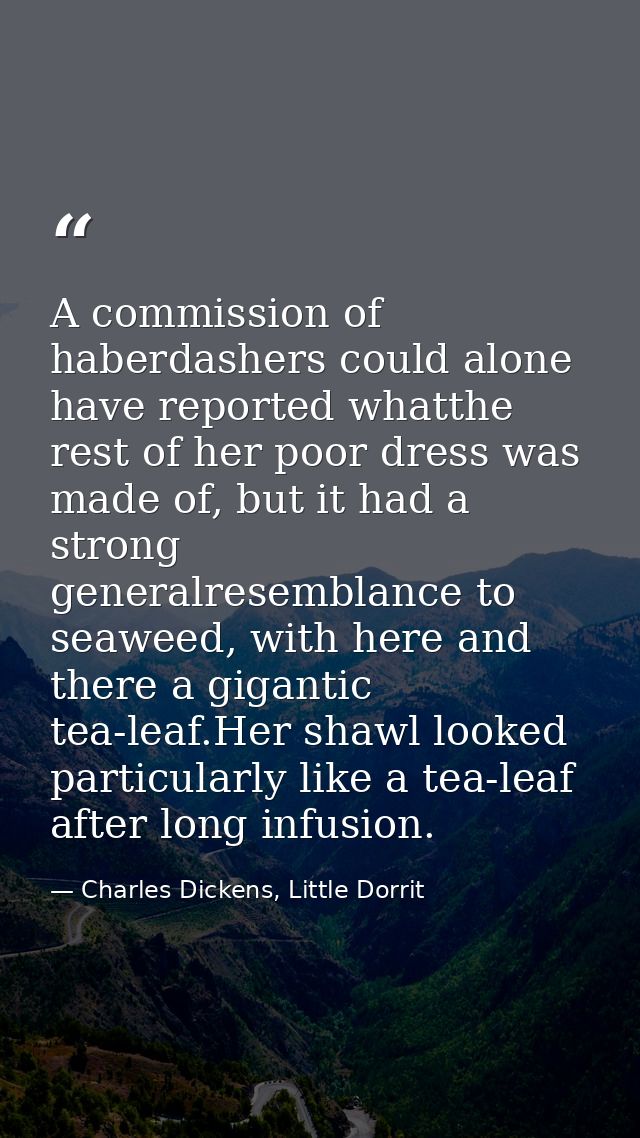 A commission of haberdashers could alone have reported whatthe rest of her poor dress was made of, but it had a strong g — Charles Dickens, Little Dorrit