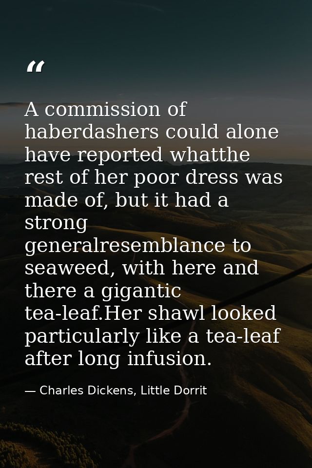 A commission of haberdashers could alone have reported whatthe rest of her poor dress was made of, but it had a strong g — Charles Dickens, Little Dorrit
