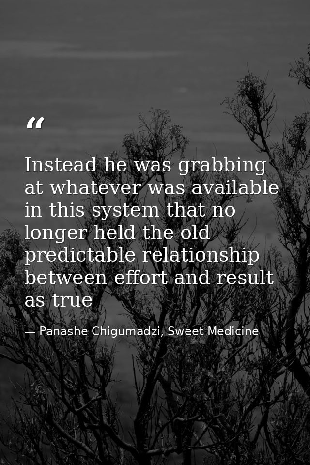 Instead he was grabbing at whatever was available in this system that no longer held the old predictable relationship be — Panashe Chigumadzi, Sweet Medicine