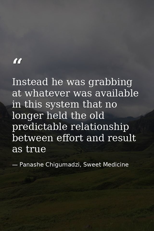 Instead he was grabbing at whatever was available in this system that no longer held the old predictable relationship be — Panashe Chigumadzi, Sweet Medicine
