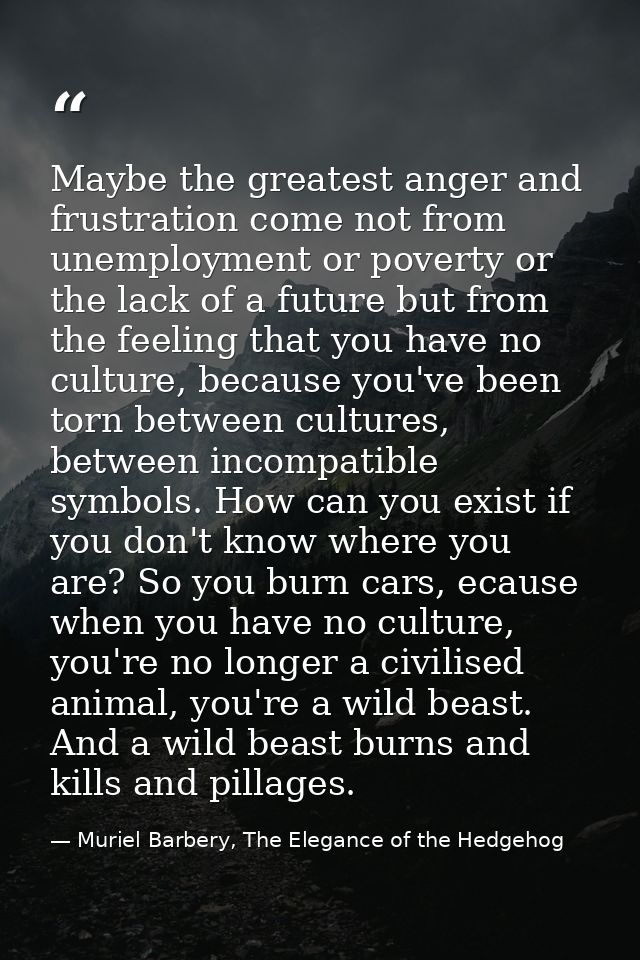 Maybe the greatest anger and frustration come not from unemployment or poverty or the lack of a future but from the feel — Muriel Barbery, The Elegance of the Hedgehog