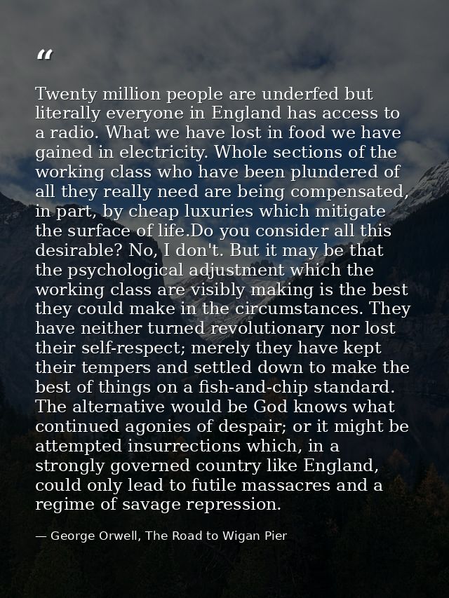 Twenty million people are underfed but literally everyone in England has access to a radio. What we have lost in food we — George Orwell, The Road to Wigan Pier